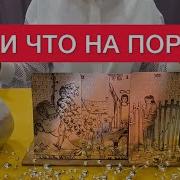 Дара Таро Что Дальше Новое