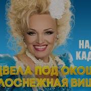 Белоснежная Вишня Расцвела Под Окошком
