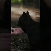 Моя Россия Светлана И Евгений Коноваловы