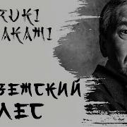 Мураками Норвежский Лес