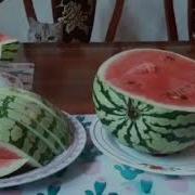 Кошка Просит Арбузики