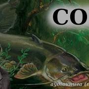 Остап Вишня Сом Усмішка
