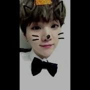 Bts Suga Мин Юнги Vines Милый Котик Cat