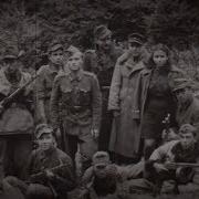 Оун Упа Против Нквд
