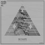 Memory Line Skymate