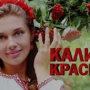 Группа Калина Красная Песни