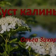 Ольга Захарова Куст Калины Минусовка