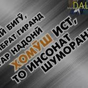 Д Панди Бузургон