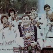 Ion Bas