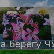 С Трандафилов И Р Бабаев На Берегу Чу
