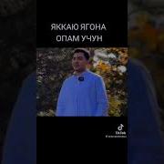 Менга Жуда Кераксиз