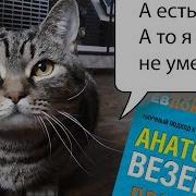 Анатомия Везения Или Принцип Пуповины