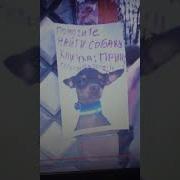 Леди Диана Спалила Номер