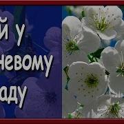 Ой У Вишневому Саду Українські Діаманти