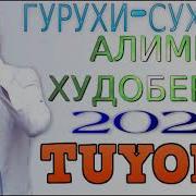 Алими Худоберди 2019