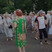 Алая Роза Светлые Грёзы
