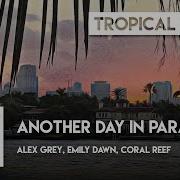 Alex Grey Emily Dawn Coral Reef Another Day In Paradise
