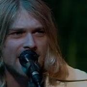 Nirvana Serve Servants
