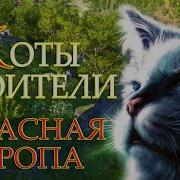 Коты Воители 5 Эпизод