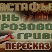 Конь С Розовой Гривой