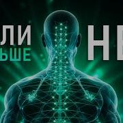 Выпрямление Позвоночника Медитации Игоря Андреева