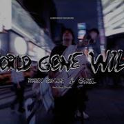 Robin Schulz World Gone Wild Remix