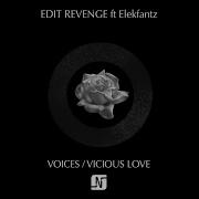 Edit Revenge Voices Feat Elekfantz Dub Mix