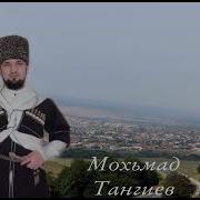 Нана Мохьмад Тангиев