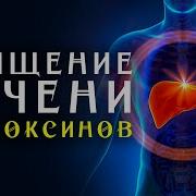 Матрица Гаряева Избавление Печени От Токсинов