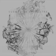 1968 Submotion Orchestra