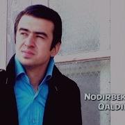 Бахор Отиб Келган Калдиргоч