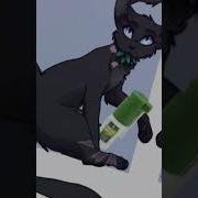 Пепелица Коты Воители Клип