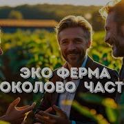 Экоферма Соколово