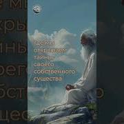 Медитации Сборник