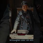 Вы Укрываете Врагов Рейха Верно