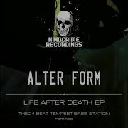 Alter Form Life After Death