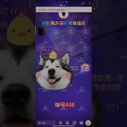 磕炮真实录音