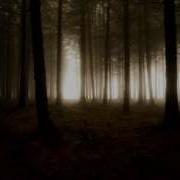Scary Forest Shadows Instrumental Core