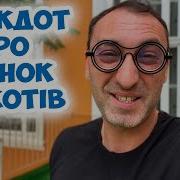 Анекдоты Про Кота