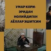 Эридан Нолиган Аёллар