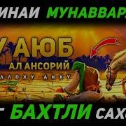 Абу Аюб Ансорий Радиаллаху Анху Абдуллох Домла