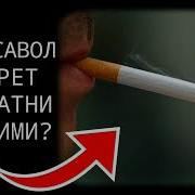 Сигарет Таҳоратни Бузадими Абдуллоҳ Зуфар Ҳафизаҳуллоҳ