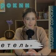 Владимир Сорокин Метель