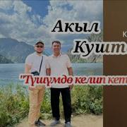 Түшүмдө Скачать