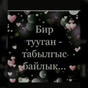 Бир Тууганым Асылдарым