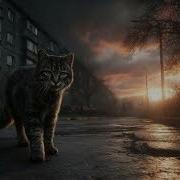 Уходит В Обувной Коробке Друг