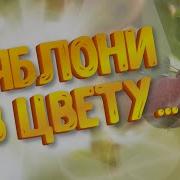 Севенрозы Пригласи На Танец