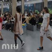 Miu Miu 2024