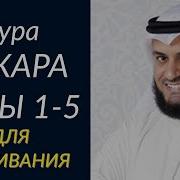 Сура Аль Бакара Мишари Рашид 1 10 Аят