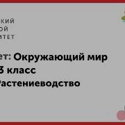 Растениеводство 3 Класс